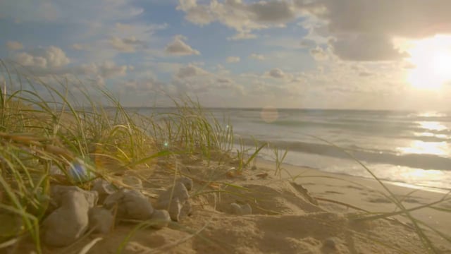 Palmer Coolum Golf TVC