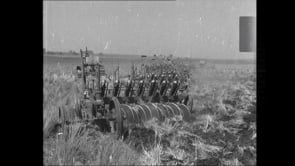 Thiess 75th Anniversary